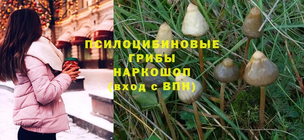 дмт Богданович