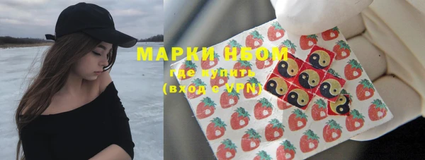 дмт Богданович