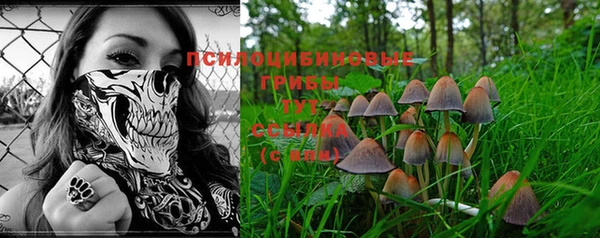 дмт Богданович
