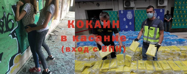 дмт Богданович