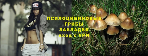 дмт Богданович
