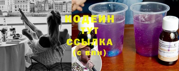 дмт Богданович