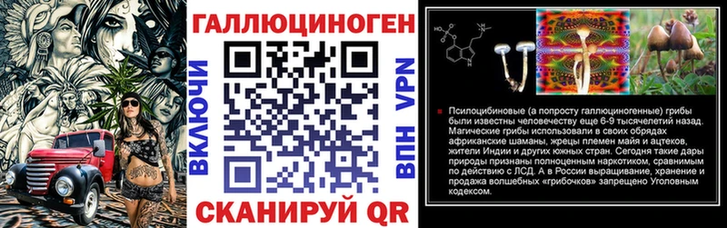 мориарти официальный сайт  цены наркотик  Гусев  Псилоцибиновые грибы Psilocybe 